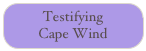 Testifying
Cape Wind