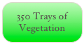 350 Trays of Vegetation